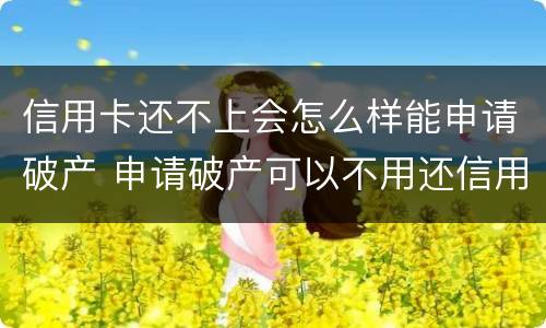 信用卡还不上会怎么样能申请破产 申请破产可以不用还信用卡及贷款吗