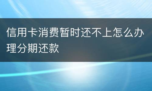 信用卡消费暂时还不上怎么办理分期还款