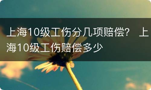 上海10级工伤分几项赔偿？ 上海10级工伤赔偿多少
