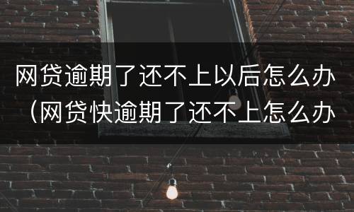 网贷逾期了还不上以后怎么办（网贷快逾期了还不上怎么办）