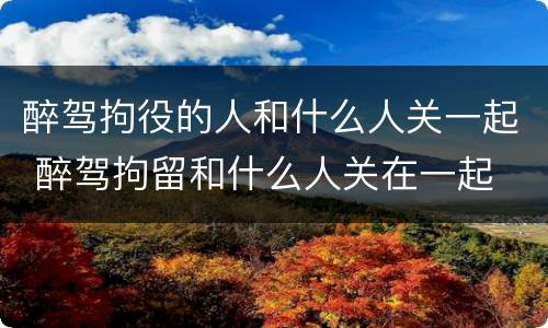 醉驾拘役的人和什么人关一起 醉驾拘留和什么人关在一起