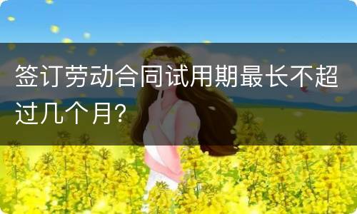 签订劳动合同试用期最长不超过几个月？