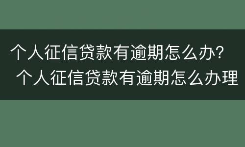 个人征信贷款有逾期怎么办？ 个人征信贷款有逾期怎么办理