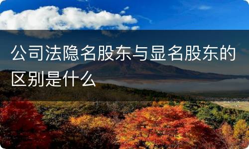 公司法隐名股东与显名股东的区别是什么