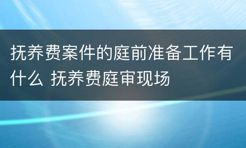 抚养费案件的庭前准备工作有什么 抚养费庭审现场