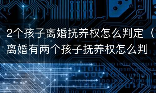 2个孩子离婚抚养权怎么判定（离婚有两个孩子抚养权怎么判定）