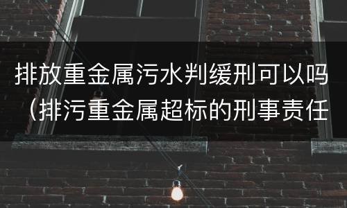 排放重金属污水判缓刑可以吗（排污重金属超标的刑事责任）