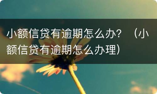 小额信贷有逾期怎么办？（小额信贷有逾期怎么办理）