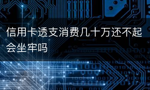 信用卡透支消费几十万还不起会坐牢吗