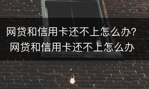 网贷和信用卡还不上怎么办？ 网贷和信用卡还不上怎么办