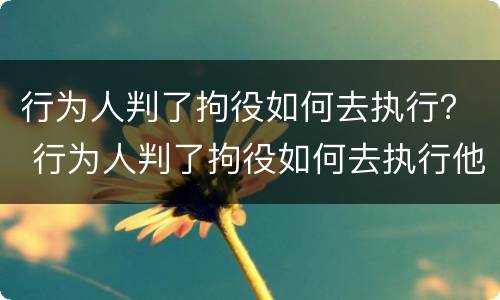 行为人判了拘役如何去执行？ 行为人判了拘役如何去执行他
