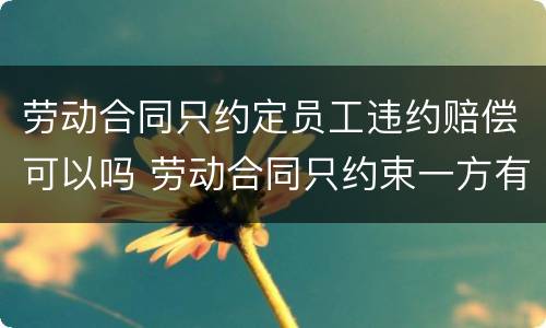 劳动合同只约定员工违约赔偿可以吗 劳动合同只约束一方有效吗