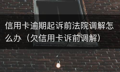 信用卡逾期起诉前法院调解怎么办（欠信用卡诉前调解）