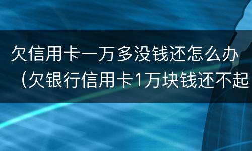 欠信用卡一万多没钱还怎么办（欠银行信用卡1万块钱还不起怎么办）