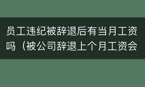 员工违纪被辞退后有当月工资吗（被公司辞退上个月工资会发嘛）