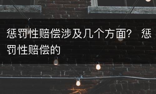惩罚性赔偿涉及几个方面？ 惩罚性赔偿的