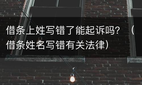 借条上姓写错了能起诉吗？（借条姓名写错有关法律）