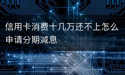 信用卡消费十几万还不上怎么申请分期减息
