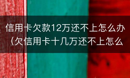 信用卡欠款12万还不上怎么办（欠信用卡十几万还不上怎么办）