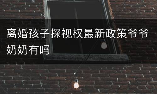 离婚孩子探视权最新政策爷爷奶奶有吗
