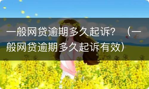 一般网贷逾期多久起诉？（一般网贷逾期多久起诉有效）