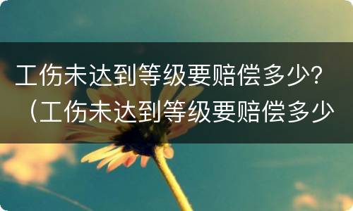 工伤未达到等级要赔偿多少？（工伤未达到等级要赔偿多少天）