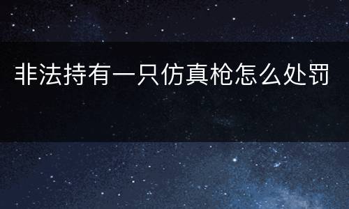 非法持有一只仿真枪怎么处罚