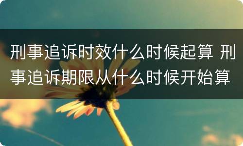刑事追诉时效什么时候起算 刑事追诉期限从什么时候开始算起
