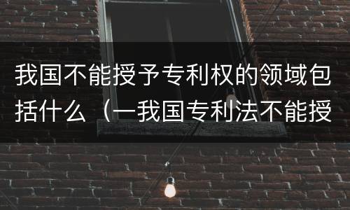 我国不能授予专利权的领域包括什么（一我国专利法不能授予专利的领域有）