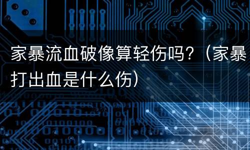 家暴流血破像算轻伤吗?（家暴打出血是什么伤）