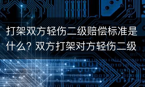 打架双方轻伤二级赔偿标准是什么? 双方打架对方轻伤二级要赔偿多少钱