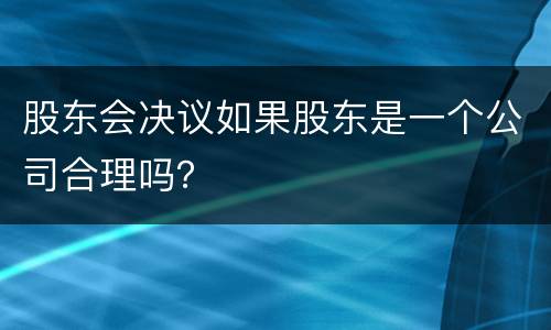 股东会决议如果股东是一个公司合理吗？