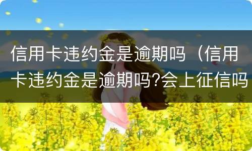 信用卡违约金是逾期吗（信用卡违约金是逾期吗?会上征信吗）