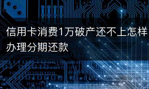信用卡消费1万破产还不上怎样办理分期还款