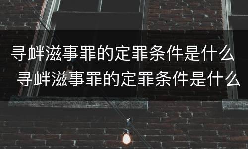 寻衅滋事罪的定罪条件是什么 寻衅滋事罪的定罪条件是什么