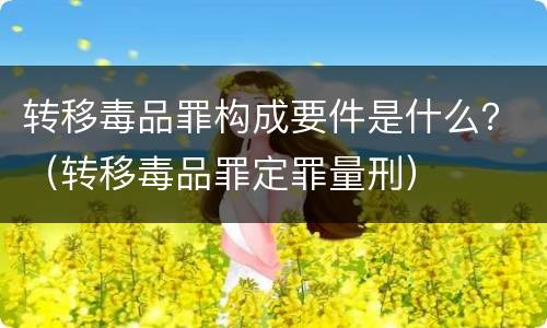 转移毒品罪构成要件是什么？（转移毒品罪定罪量刑）