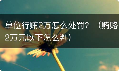 单位行贿2万怎么处罚？（贿赂2万元以下怎么判）