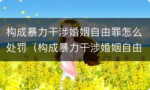 构成暴力干涉婚姻自由罪怎么处罚（构成暴力干涉婚姻自由罪怎么处罚的）