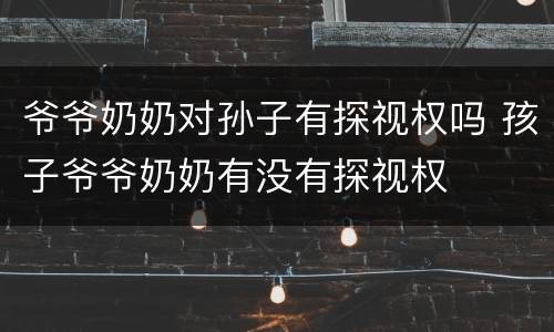 爷爷奶奶对孙子有探视权吗 孩子爷爷奶奶有没有探视权