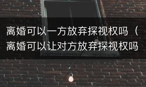 离婚可以一方放弃探视权吗（离婚可以让对方放弃探视权吗）