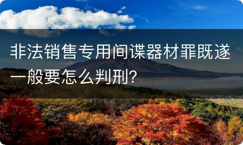 非法销售专用间谍器材罪既遂一般要怎么判刑？