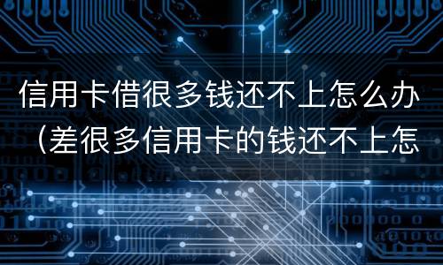 信用卡借很多钱还不上怎么办（差很多信用卡的钱还不上怎么办）