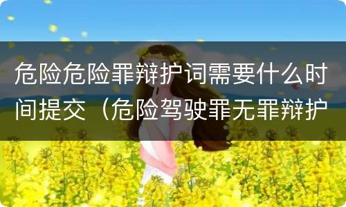 危险危险罪辩护词需要什么时间提交（危险驾驶罪无罪辩护词）