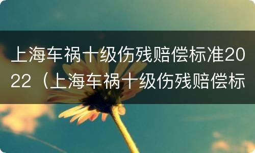 上海车祸十级伤残赔偿标准2022（上海车祸十级伤残赔偿标准2022年）