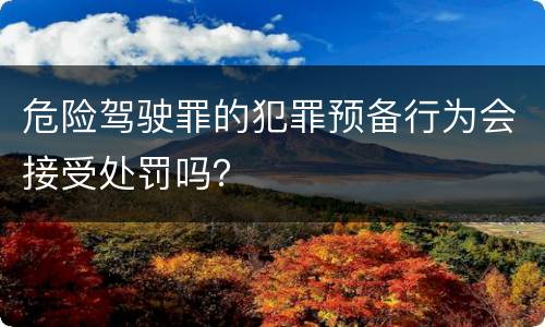 危险驾驶罪的犯罪预备行为会接受处罚吗？