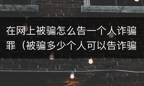 在网上被骗怎么告一个人诈骗罪（被骗多少个人可以告诈骗）