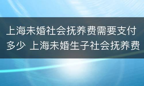 上海未婚社会抚养费需要支付多少 上海未婚生子社会抚养费多少钱