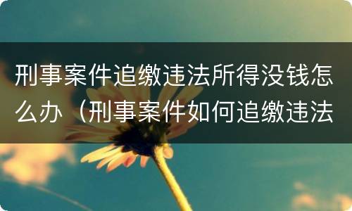 刑事案件追缴违法所得没钱怎么办（刑事案件如何追缴违法所得）