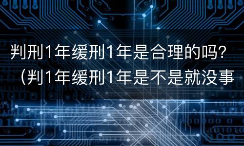 判刑1年缓刑1年是合理的吗？（判1年缓刑1年是不是就没事）