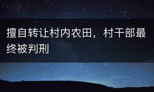 擅自转让村内农田，村干部最终被判刑
